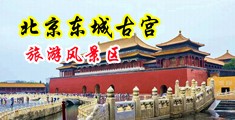 揭屄摸屄屄视频播放中国北京-东城古宫旅游风景区